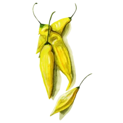 Chili Hot Lemon