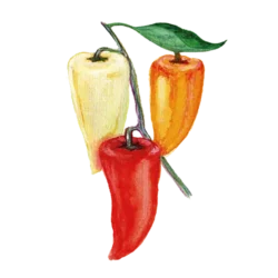 Paprika Ferenc Tender
