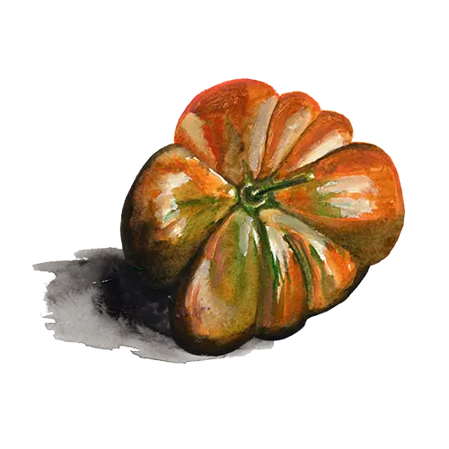 Dwarftomat Uluru Ochre