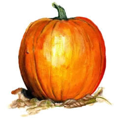 Vintersquash Ghost Rider